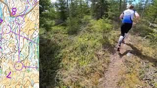 Orienteering: Elgdilten, Innlandet