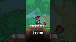 HOW TO CREATE POO IN TERRARIA!!! 