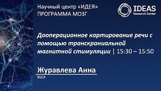 Дооперационное картирование речи с помощью транскраниальной магнитной стимуляции