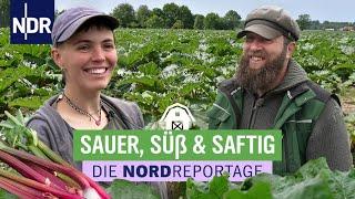 Immer beliebter im Norden: Leckeres aus Rhabarber | Die Nordreportage | NDR