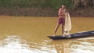 Pesca de tarrafa pegando matrinxã 