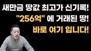 새만금 땅값 최고가 신기록 "256억" 에 거래된 땅은 바로 여기입니다.