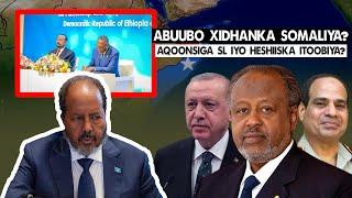 Xog Itoobiya ka adkaatay Somaliya,Talada Jabuuti,Masar iyo Turkiga   Somaliland Aqonso Xasan shiikh?