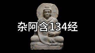 杂阿含134经，中文白话翻译（134）