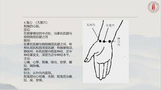 魏氏鬼门十三针第二十七讲：鬼门十三针邪病的穴位配伍三