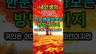 내 인생의 귀인을 한눈에 알아보는 방법 4가지 #명언 #지혜