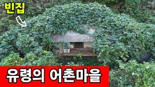 유령마을로 변한  어촌마을  일자리도 사라졌다