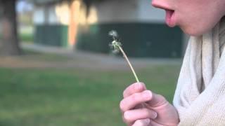 Dandelion Canon 7d Test Footage