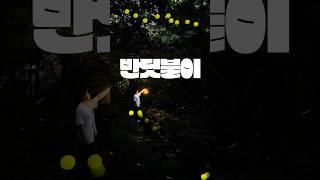 스마트폰(갤럭시)으로 반딧불이 촬영할 수 있을까?