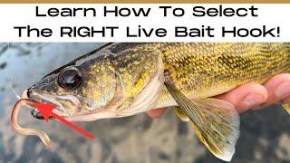 The Best 5 Hooks For Live Bait (And When to Use Them!)