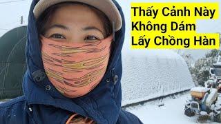 982# Thấy Cảnh Này Là Không Dám Lấy Chồng Hàn