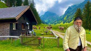 Life in a Swiss Alpine Village | We released thousands of cows in the mountains and green meadows