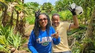 Incredible 300+ acre Jamaican tropical, exotic fruit farm tour with @JAMAICAN AGRI BOSS#1