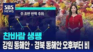 [날씨] 찬바람 생쌩…강원 동해안 · 경북 동해안 오후부터 비 / SBS