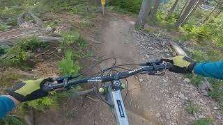 Willingen Bikepark - Enduro Black Line - Full run - Off camber roots!