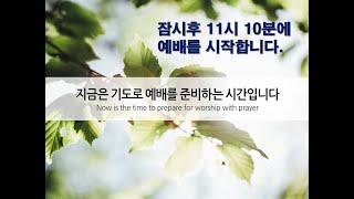 바울교회 사랑부 23년3월26일