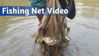 Fishing Net Video - Traditional Net Fishing Village in Pond