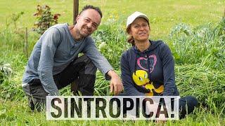 Produrre CIBO e RIFORESTARE con l'AGRICOLTURA SINTROPICA. Con GENNARO CARDONE