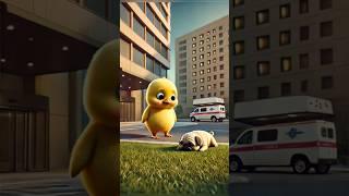 The duckling took the stray dog home and made a meal for it. #shorts #duck #cute #cuteanimals
