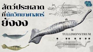 Tully Monster: สัตว์ประหลาดตัวจริง ที่นักวิทยาศาสตร์ยัง..งง?
