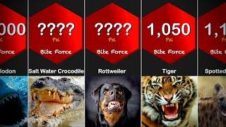 Strongest Animal Bite Force Comparison | Living and Extinct