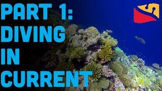 How To Scuba Dive In The Ocean Part 1: Currents. Presented By Dive Rite