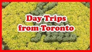 5 Top-Rated Day Trips from Toronto, Ontario | Canada Day Trips