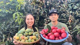 Thu Hoạch Mận, Xoài Manila Chiêu Đãi Gia Đình Ăn Bún Bò và Trái Cây Hái Sau Nhà