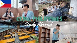 A 30-Year-Old Single Guy's Study Abroad Adventure in Cebu, Philippines  | Oslob【Vol.216】