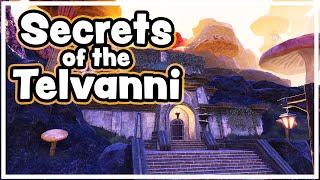 Necrom Celebration Event Guide! Secrets of the Telvanni - drops, tickets, & that FREE HOUSE!