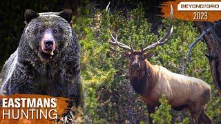 Grizzly Bear Stole My Giant Bull! Bow Hunting Elk | Beyond the Grid