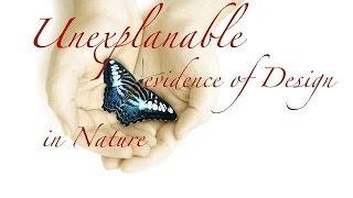 The Evidence of Design in Nature that Evolutionist can't explain away! Speaker insert