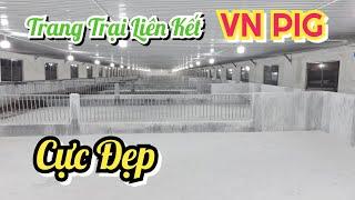 Khánh Thành Trại Heo VN PIG Cực Đẹp | Khởi Nghiệp TV