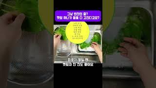 그냥 반찬인 줄? 깻잎 하나가 몸을 다 고친다고요? #깻잎효능 #건강채소 #다이어트식단