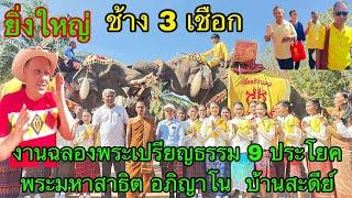 ยิ่งใหญ่ ช้าง 3 เชือก งานฉลองพระเปรียญธรรม 9 ประโยค พระมหาสาธิต อภิญาโน  บ้านสะดีย์