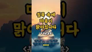 침묵속에 마음이 맑아집니다, 부처님 말씀 #침묵 #불교지혜 #인생명언 #마음이편안한 #부처님말씀