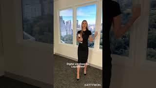 LiquidView Virtual Window NYC Penthouse Installation | Authorized Dealer for LiquidView NY.