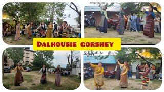 Dalhousie Tibetan gorshey #tibetanvlogger #tibetan #gorshey #tibetanculture