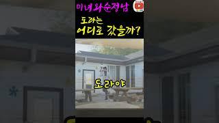 도라는 누명을 벗을 수 있을까?