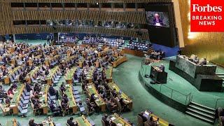 Law Enforcement Officials Hold A Briefing On Security At The 79th Session Of The UN General Assembly