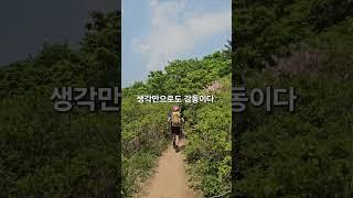 #지리산국립공원 #연초록 #숲속산책 #숲 #여행그리기 #포토존 #travel #풍경그림 #트레킹 #국내여행 #걷기여행 #걷기좋은곳