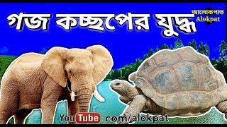 গজ কচ্ছপের যুদ্ধ, ভাইয়ে ভাইয়ে গন্ডগোল করলে কী হয়, #alokpat, fight between turtle and elephant 