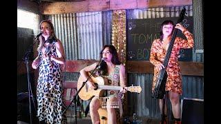 The Laurettes - Homebird -  Netsounds Session - Belladrum Tartan Heart Festival 2024