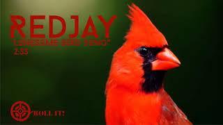 RedJay- “Lonesome Bird Song”