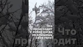 Как наблюдение за своими чувствами помогает быть продуктивным и энергичным?