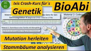 Genetik Anwendungsaufgabe AFB II: Art der Mutation herleiten / Stammbaum analysieren - BioAbi 2023