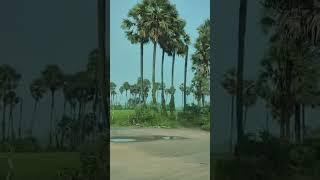 National Highway 216