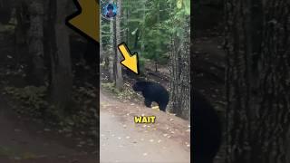 This Bear Really Feels Fear for First Time 