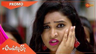 Anthulenikatha - Promo | 17 Feb 2021 | Gemini TV Serial | Telugu Serial