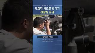 태화강 백로류 번식지 관찰장 운영